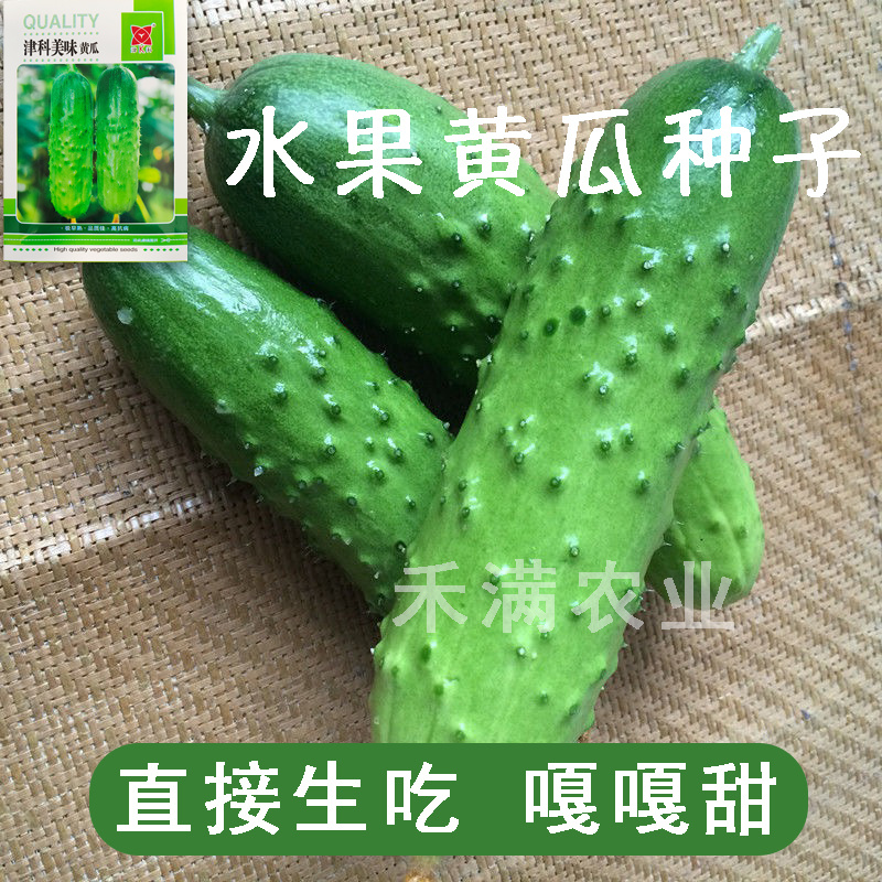 高端水果黄瓜种子甜脆嫩美味黄瓜种子蔬菜种子