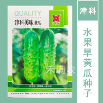 高端水果黄瓜种子甜脆嫩美味黄瓜种子蔬菜种子