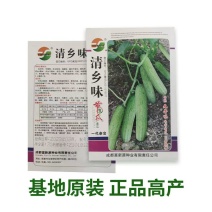 清乡味节节瓜高端水果黄瓜种子甜脆嫩绿黄瓜种子蔬菜种子