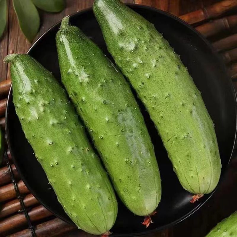 清乡味节节瓜高端水果黄瓜种子甜脆嫩绿黄瓜种子蔬菜种子