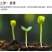 清乡味节节瓜高端水果黄瓜种子甜脆嫩绿黄瓜种子蔬菜种子