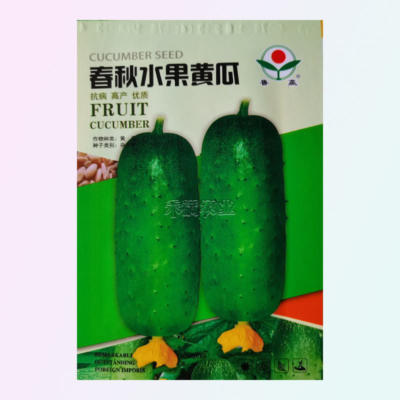 香味水果黄瓜种子绿皮青肉甜脆嫩绿黄瓜种子蔬菜种子