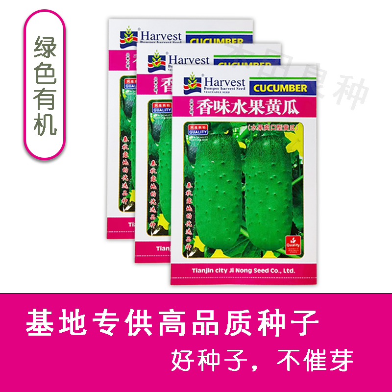 香味水果黄瓜种子绿皮青肉甜脆嫩绿黄瓜种子蔬菜种子