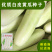 特色品种大白黄瓜种子水果黄瓜白皮黄瓜奶油白黄瓜种子