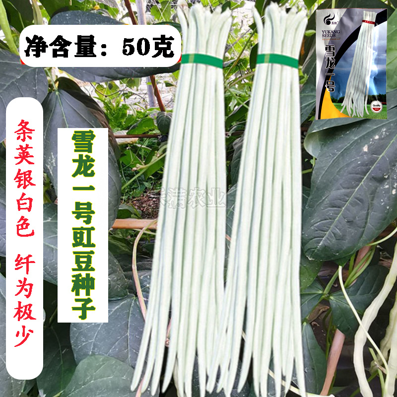 批发三尺白玉豆角种子豇豆种子高产肉厚肉嫩甜豆角长豆角种子
