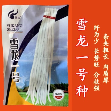 批发三尺白玉豆角种子豇豆种子高产肉厚肉嫩甜豆角长豆角种子
