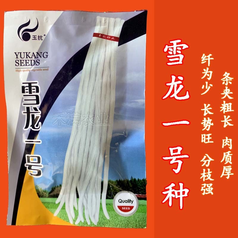 批发三尺白玉豆角种子豇豆种子高产肉厚肉嫩甜豆角长豆角种子
