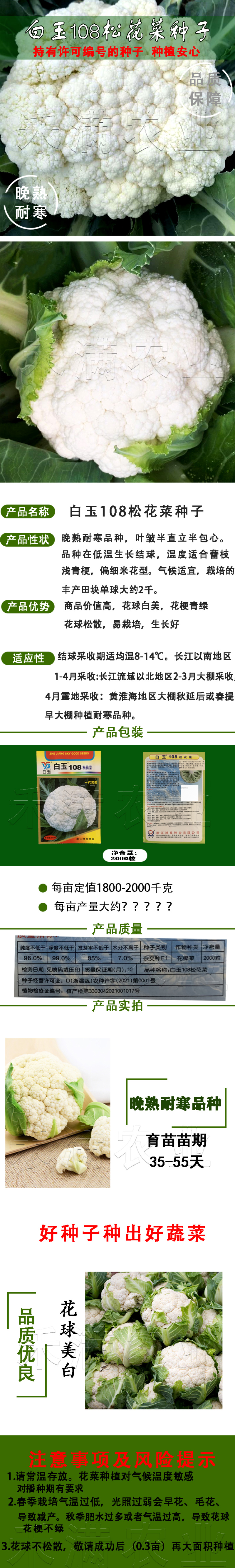 白玉108松花菜种子青梗种籽越冬耐寒菜花种子