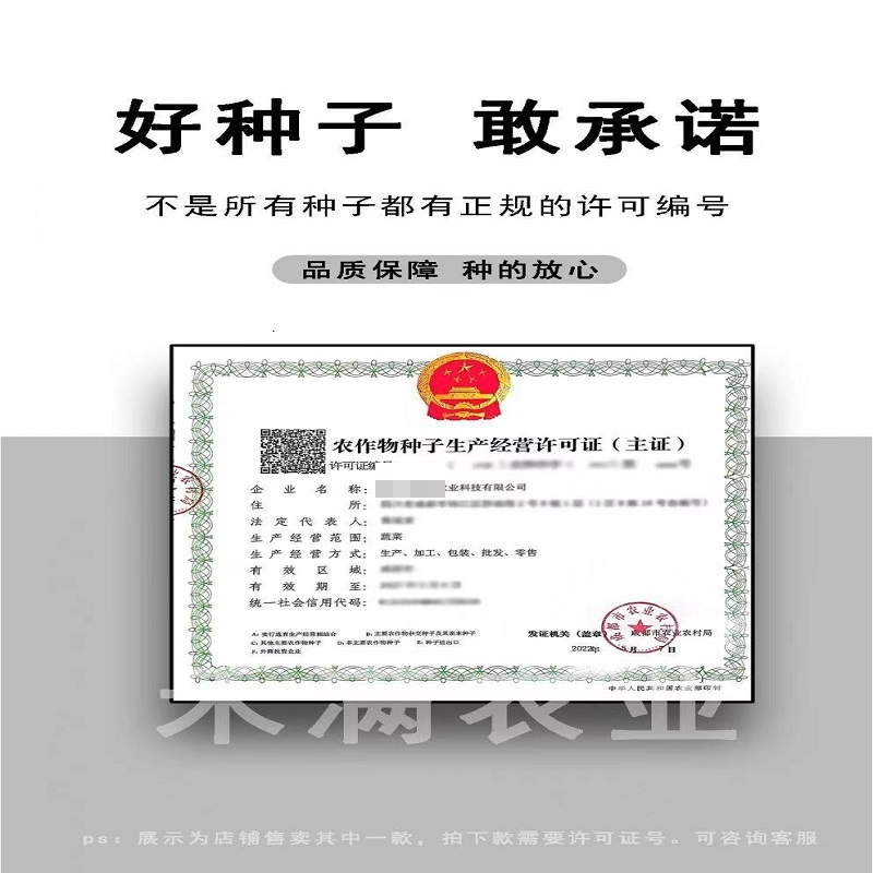 正宗基地品露地红霸王大红番茄种籽耐热大红果西红柿种子