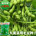 正宗绿宝石毛豆种子75天毛豆种籽高产毛豆种子