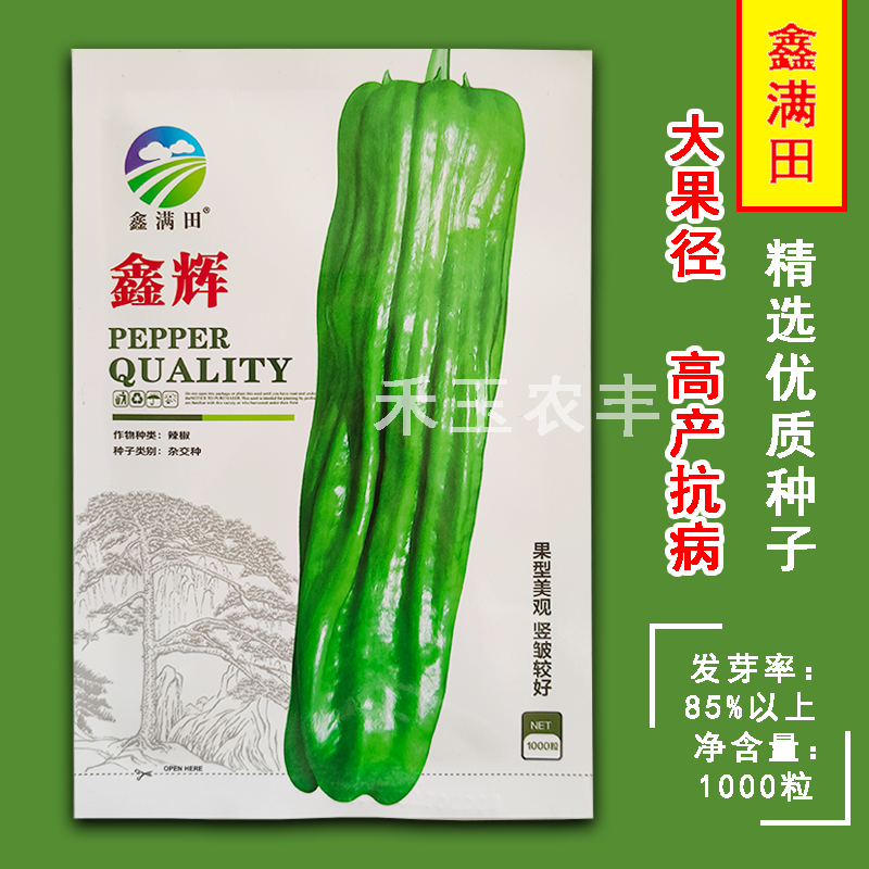 鑫辉高端薄皮辣椒种子芜湖椒超大果型高产杂交辣椒种子