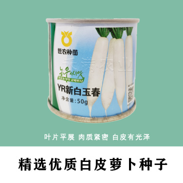 基地优品世农白玉春白萝卜种子耐寒白萝卜种子秋科季种白玉萝