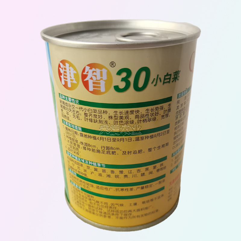全绿夏季专用鸡毛菜种子籽全绿杂交青梗耐热速生鸡毛菜种子