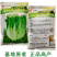 大包利耐抽苔生菜种子耐热耐寒四季可种植生菜种子基地用种