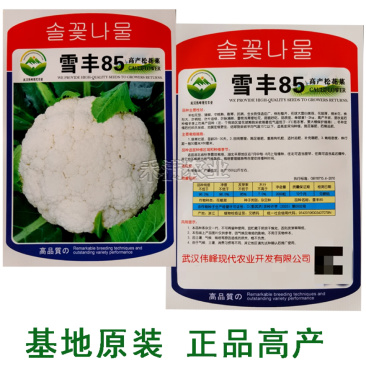 雪丰85天花菜种子春秋花椰菜高产耐热抗寒中熟松花菜种子