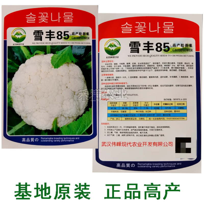 雪丰85天花菜种子春秋花椰菜高产耐热抗寒中熟松花菜种子