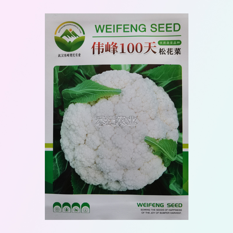 基地优品伟峰100天松花菜种子春秋花菜种花椰菜松花菜种子
