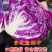 新品紫甘蓝菜种子包菜菜种秋紫卷心菜包心菜籽种紫甘蓝种子