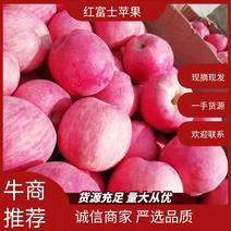 红富士苹果甘肃天水纸袋富士苹果片红产地大量上市