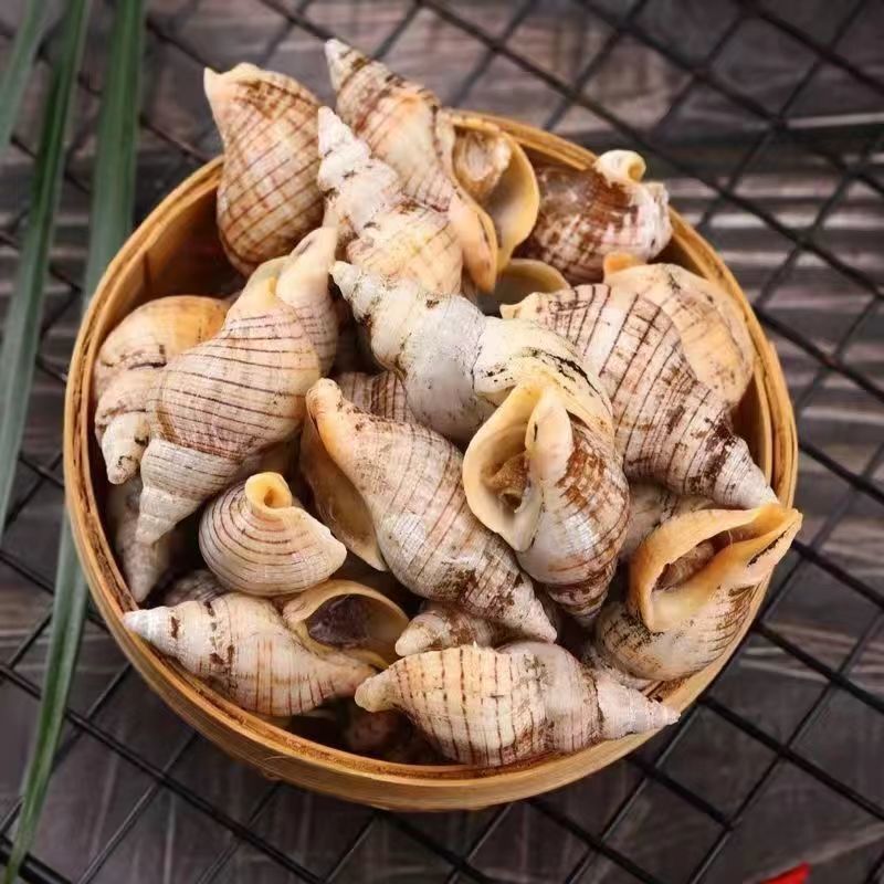 贝贝螺捞汁海鲜原料