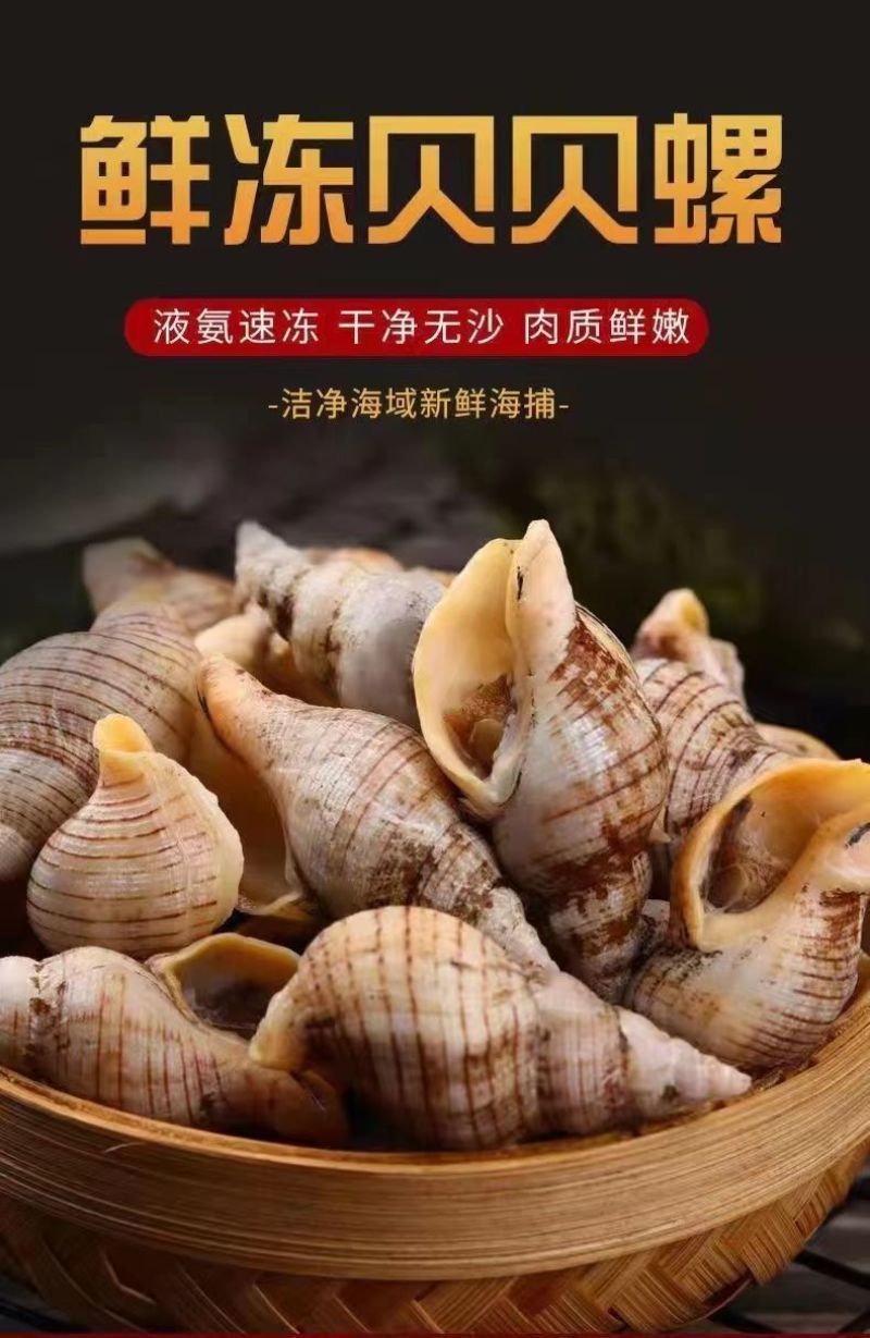 贝贝螺捞汁海鲜原料