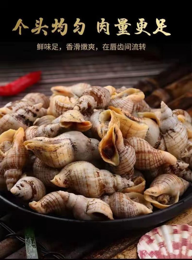 贝贝螺捞汁海鲜原料