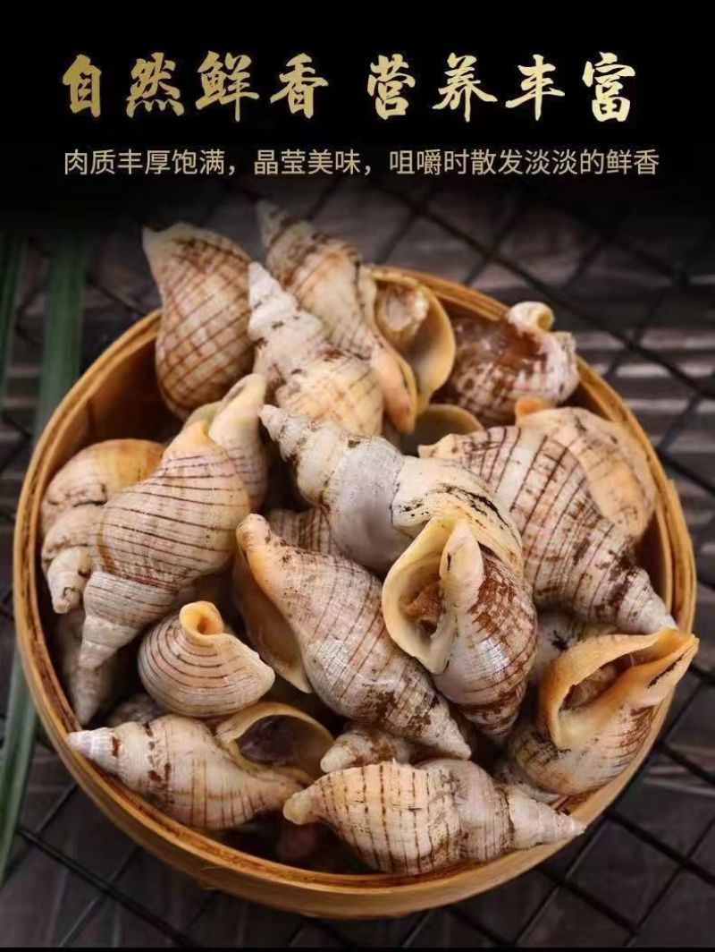 贝贝螺捞汁海鲜原料