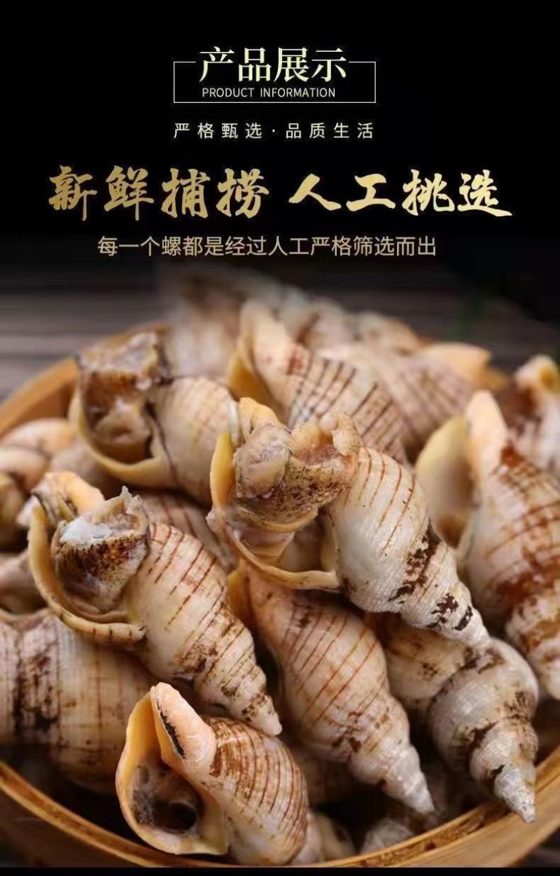 贝贝螺捞汁海鲜原料