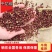 【牛商推荐】精品干红花椒无杂质大量供应