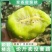 陕西周至翠香猕猴桃，一件代发团购落地配，可实地考察