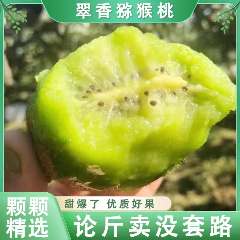陕西周至翠香猕猴桃，一件代发团购落地配，可实地考察