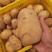 【实验1号】河北围场土豆新鲜土豆现货批发欢迎咨询看货
