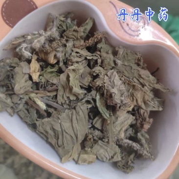 车前草，野生车前草段，中药材批发丹丹中药专注质量