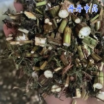 青蒿，中药材青蒿，青蒿段，一手货源，质量保证，丹丹中药