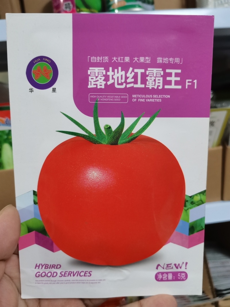 正宗基地品露地红霸王大红番茄种籽耐热大红果西红柿种子