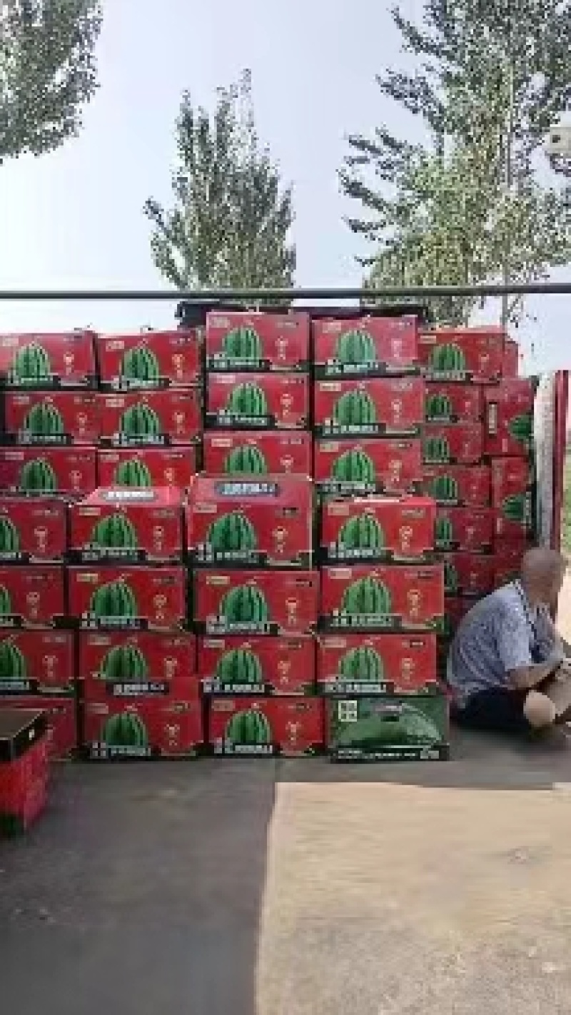美都西瓜东台精品美都麒麟西瓜产地直发全国
