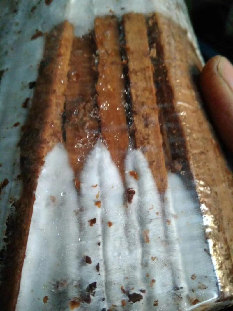 河北精品平菇菌包平菇菌棒产量高全国发货欢迎来电