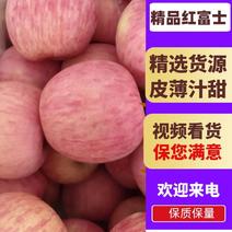 山东红富士苹果口感脆甜货源充足支持全国发货供超市市场电商
