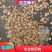 纯两年白芷种子包出包回收假一赔十