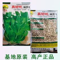 真好吃豌豆苗种子秋冬种吃豌豆尖种子大包装500克豌豆种子