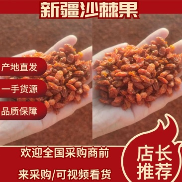 沙棘果干新疆特产第九师170团沙棘小镇沙棘果干