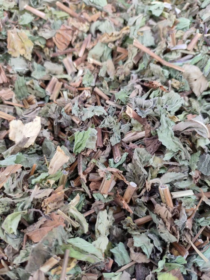 薄荷安徽亳州薄荷包含量无农残产地直发量大从优