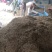 薄荷安徽亳州薄荷包含量无农残产地直发量大从优