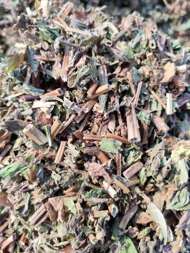 薄荷安徽亳州薄荷包含量无农残产地直发量大从优
