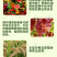 百菌清广谱杀菌剂霜霉病叶锈病疮痂病果树蔬菜花卉
