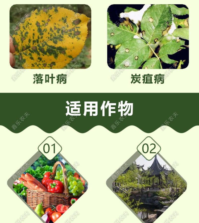 百菌清广谱杀菌剂霜霉病叶锈病疮痂病果树蔬菜花卉