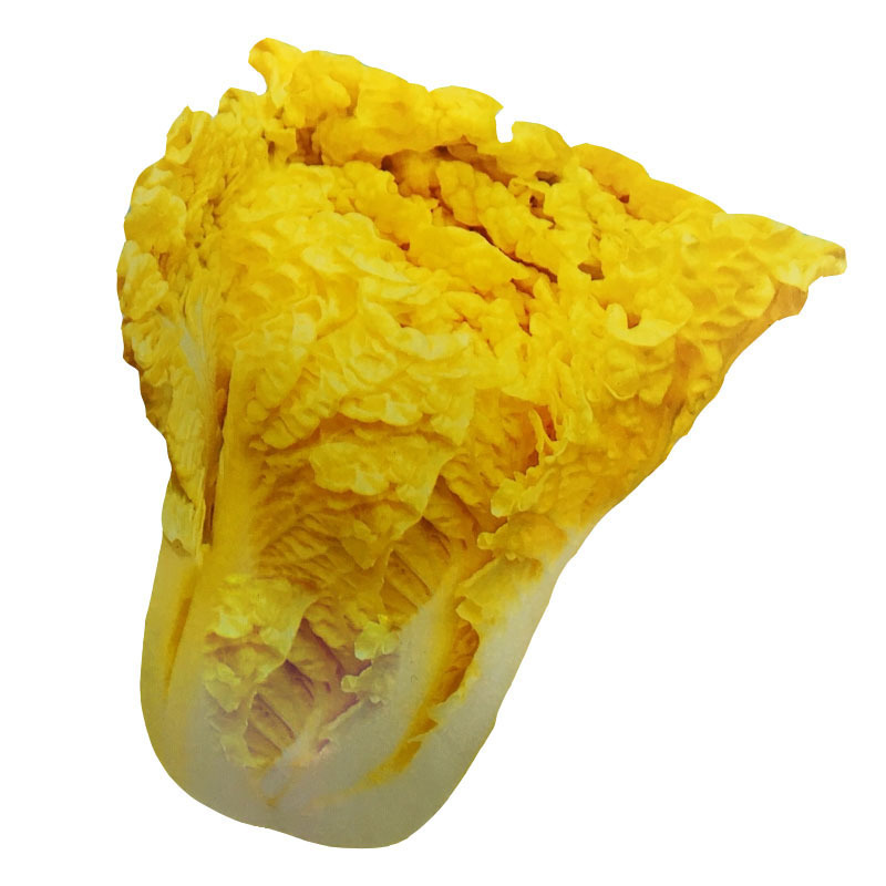 鸡蛋黄白菜种子大白菜种子耐寒春秋季鸭蛋黄黄心白菜种子