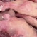 牛头肉熟牛肉江苏产家货，规格多样，欢迎电联采购