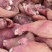 牛头肉熟牛肉江苏产家货，规格多样，欢迎电联采购