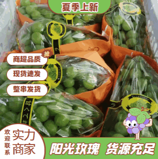 阳光玫瑰糖度高爪子紧促信守承诺诚信为本致电留言。